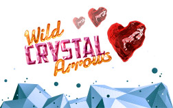 Wild Crystal Arrows